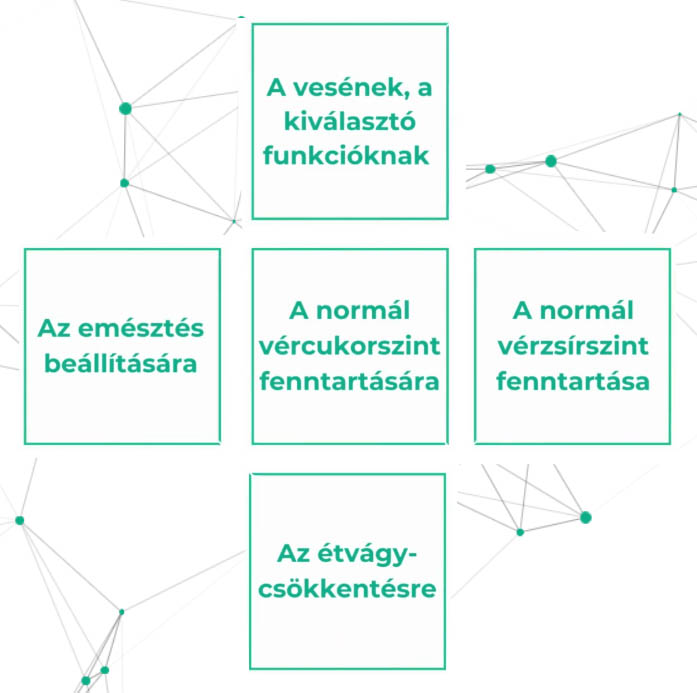 Vertim testsúlycsökkentő Mátrix